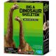 4M dinoszaurusz régész készlet - Brachiosaurus