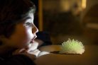 4M kristálynövesztő tudományos készlet