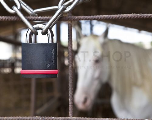 Mul-T-Lock NE8G MTL600 biztonsági lakat